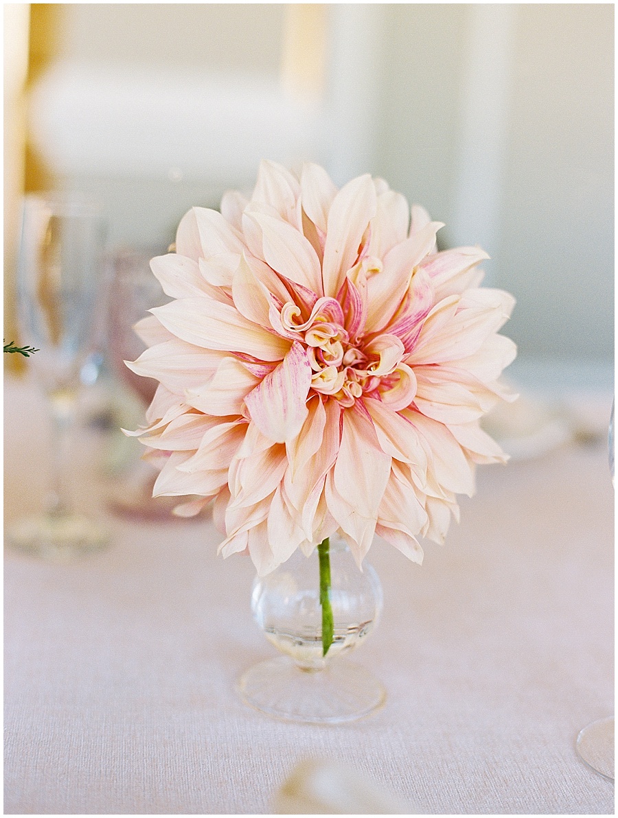 Single Pink Dahlia Arrangement © Bonnie Sen Photography