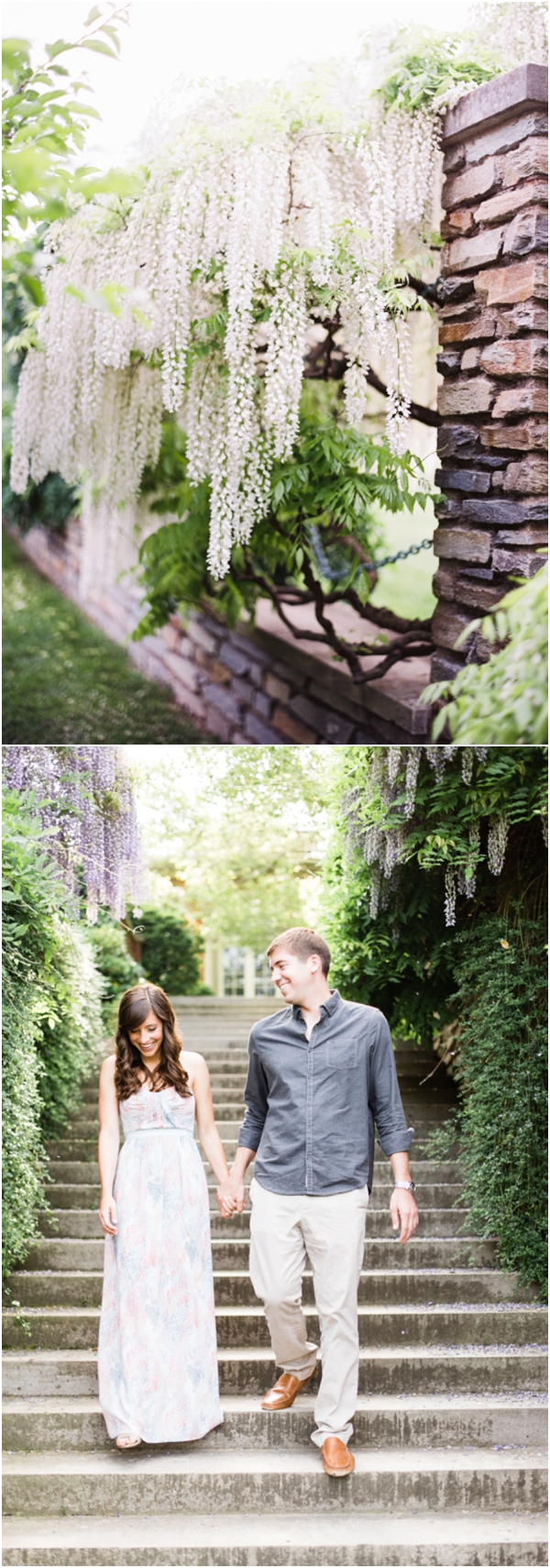 wisteria dc spring Floral Engagement session
