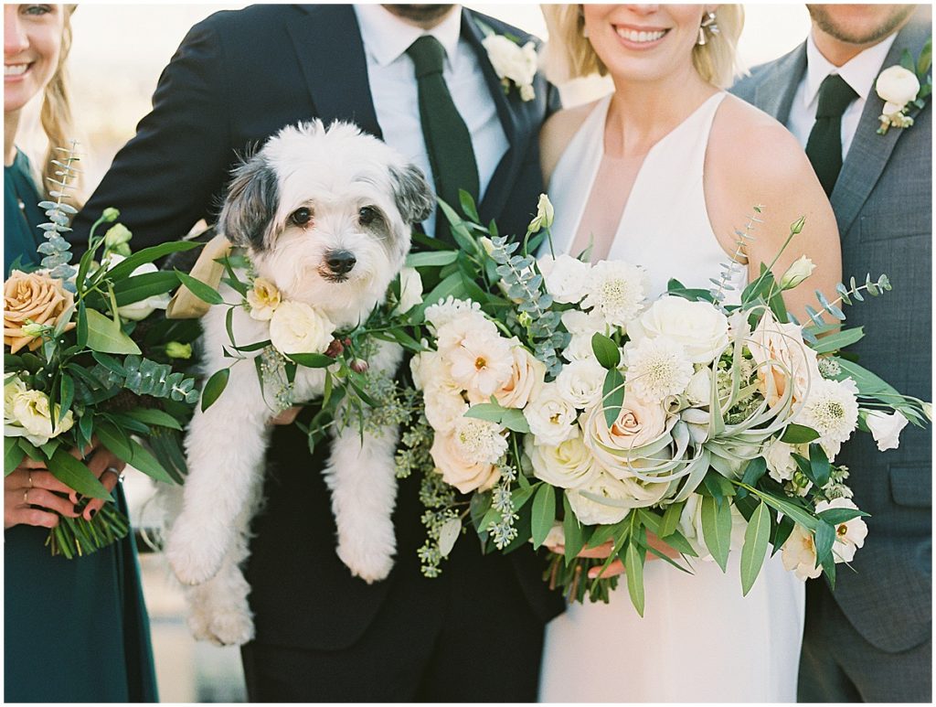 Modern Wedding in Washington DC Blush and Ivory Wedding Flowers Dog in Wedding © Bonnie Sen Photography