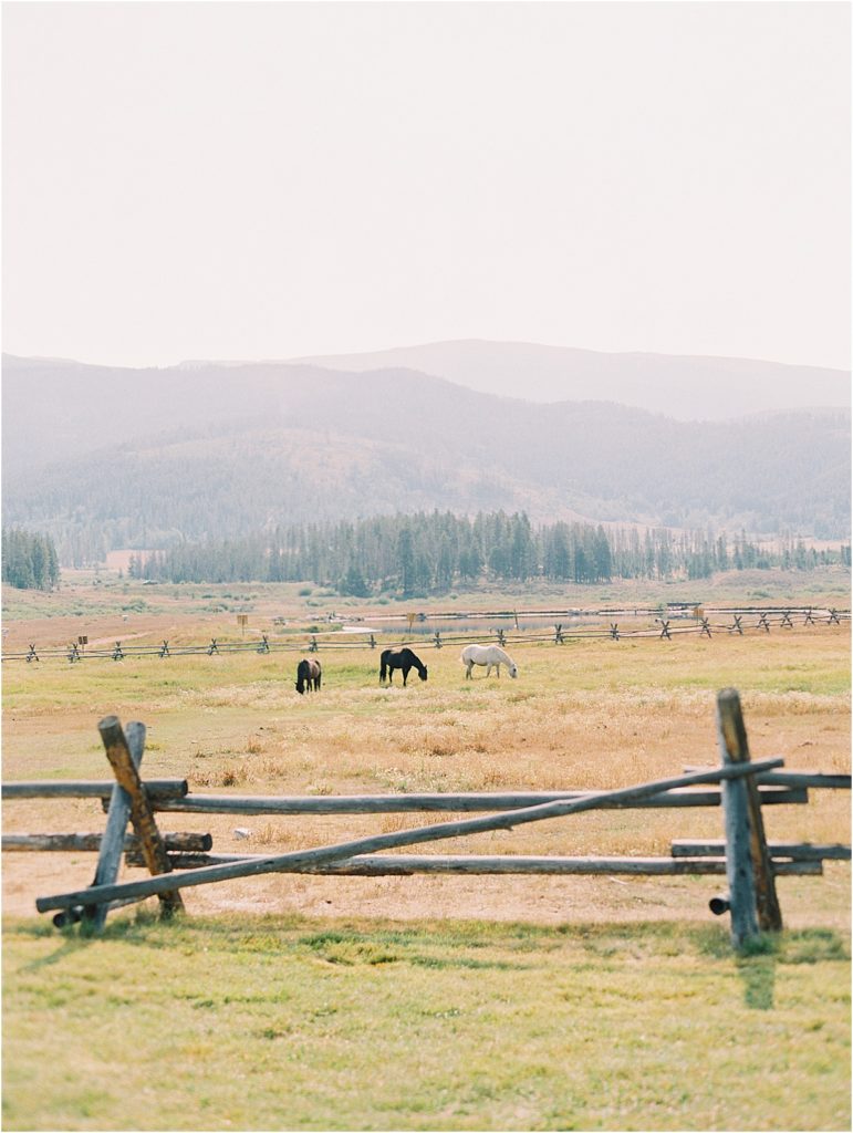 Horses Grazing at Devils Thumb Ranch © Bonnie Sen Photography
